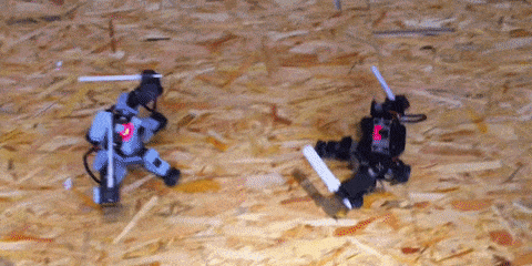 We Need These Tiny Gundam-Inspired Fighting Robots