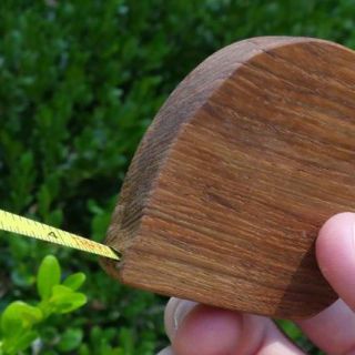 wood tape measure