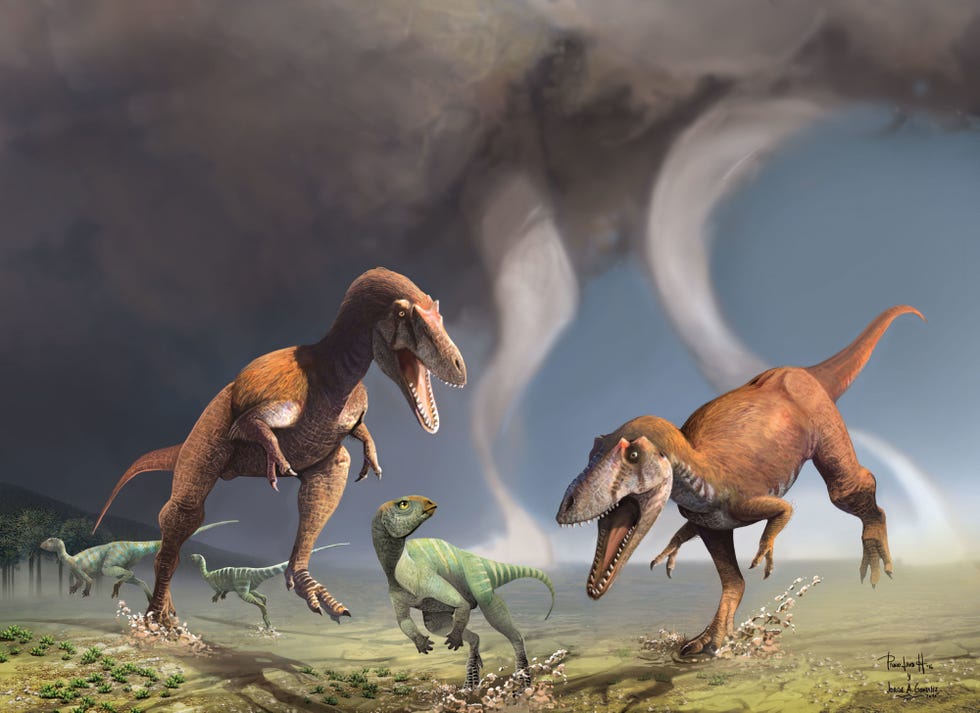 dinosaur like t rex with one horn