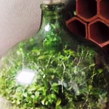 Green, Brown, Bottle, Glass, Artifact, Ceramic, Vase, Pottery, earthenware, Creative arts, 