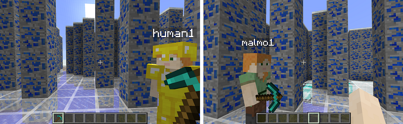 Humans and Malmo in Minecraft