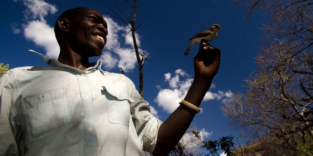 The Mind-Blowing Way These Tribesmen and Wild Birds Work Together