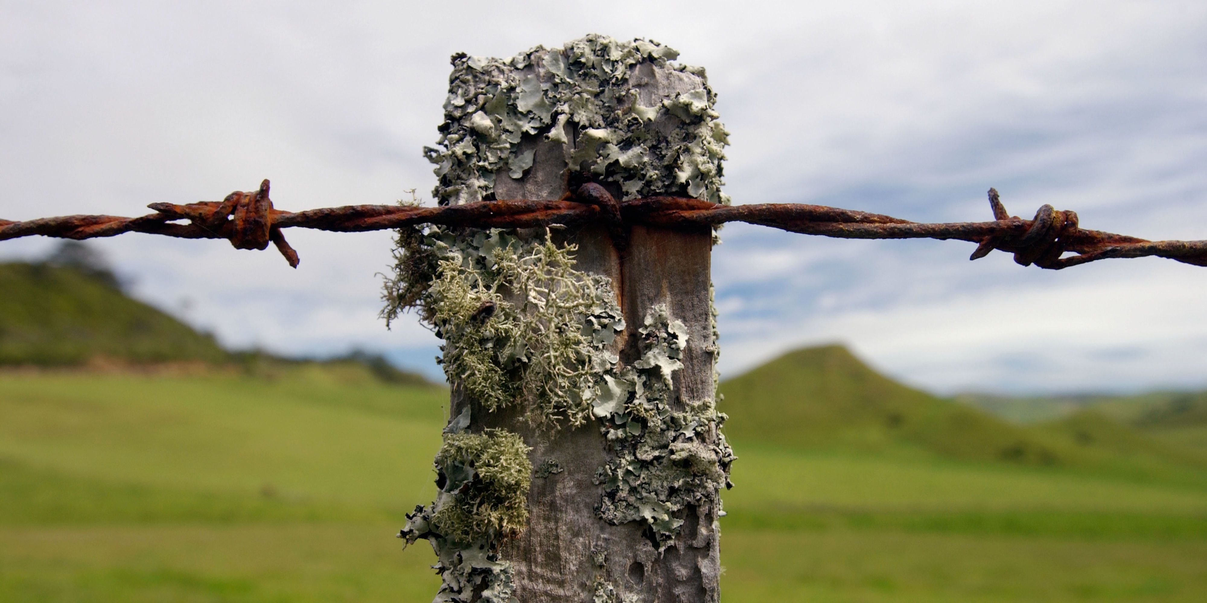 why was barbed wire invented