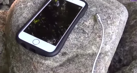 Smartphone in the woods