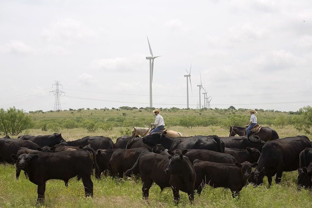 Texas wind energy turbine