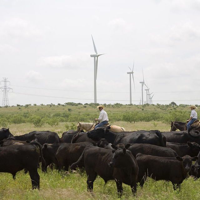 Texas wind energy turbine
