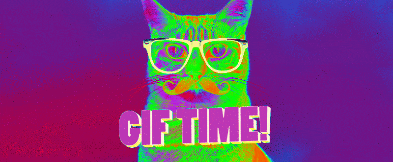 lazy cat  Free animated GIF  PicMix