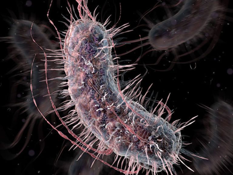 Scientists Create Life That Reads a New Language in the Letters of DNA