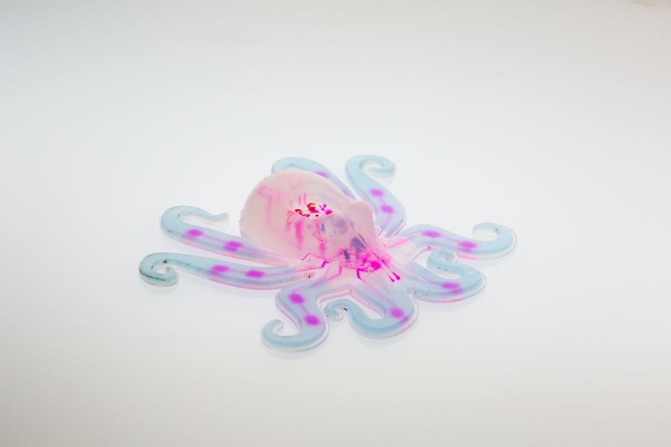 This image shows the octobot, an entirely soft, autonomous robot. A pneumatic network (pink) is embedded within the octobot's body and hyperelastic actuator arms (light blue).