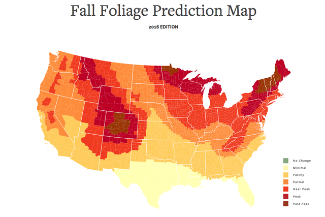 Let an Interactive Foliage Map Help You Plan Your Fall Trips
