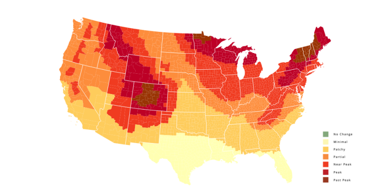 Let an Interactive Foliage Map Help You Plan Your Fall Trips