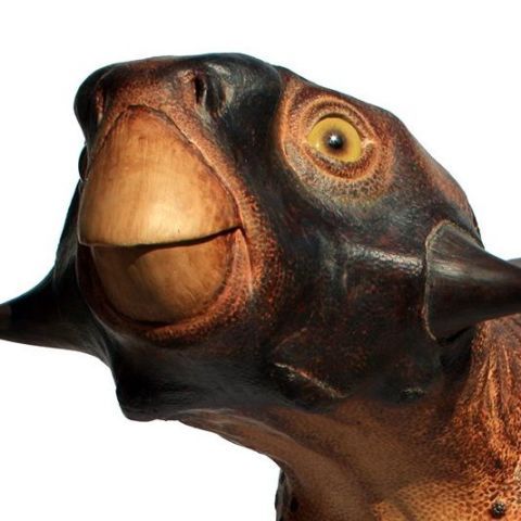 Psittacosaurus Replica