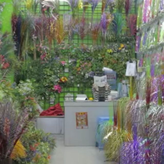 Purple, Flower, Lavender, Petal, Garden, Violet, Shrub, Majorelle blue, Floristry, Backyard, 