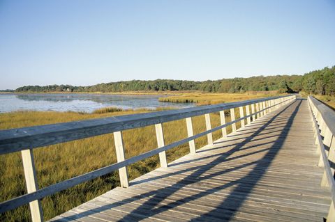 <p><strong data-redactor-tag="strong" data-verified="redactor">Best time to visit:</strong> Late September to October</p><p><strong data-redactor-tag="strong" data-verified="redactor">Why it's worth a visit: </strong>Cape Cod isn't just for summers—the region&nbsp;is also a great place to admire autumn leaves along its epic bike trail. The path,&nbsp;which follows a former railroad line, is predominantly&nbsp;paved, which makes for an easier ride.&nbsp;Offshoots include treks to beaches, marshes, and forests.&nbsp;</p><p><strong data-redactor-tag="strong" data-verified="redactor">Find more information </strong>at <a href="http://www.mass.gov/eea/agencies/dcr/massparks/region-south/cape-cod-rail-trail.html" target="_blank">mass.gov</a>.</p>