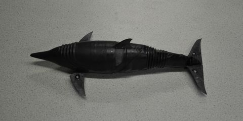 Black, Grey, Fish, Fin, Tail, Silver, Ray-finned fish, Natural material, Marine biology, Bony-fish, 