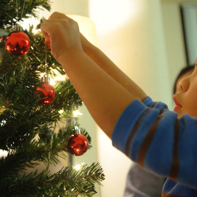 put christmas lights on tree