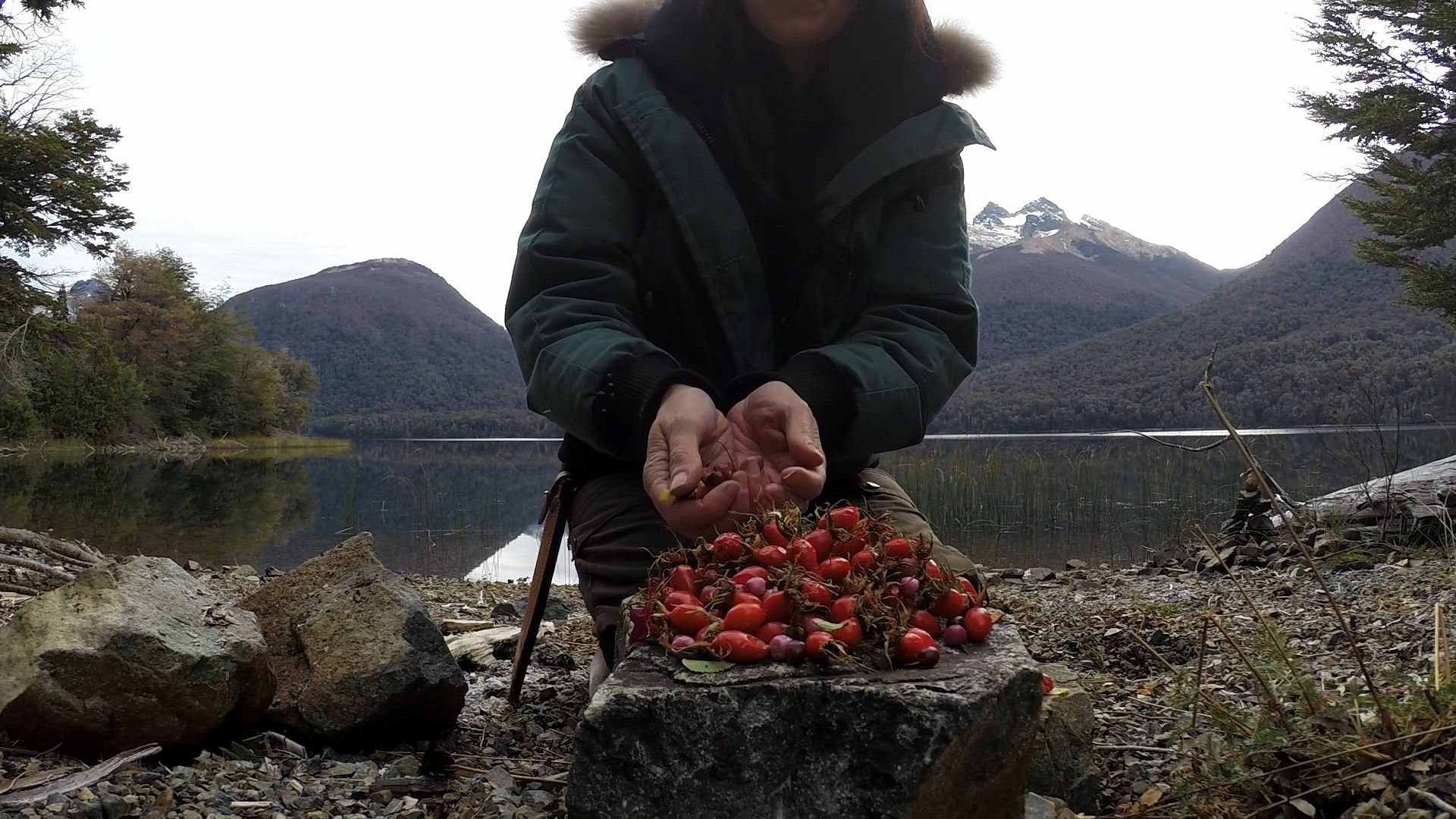 Everything You Need to Know About Foraging for Food in the Wild