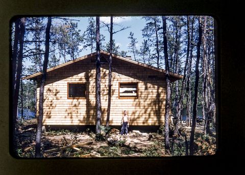 Wood, House, Log cabin, Hut, Tints and shades, Rural area, Shack, Roof, Home, Rectangle, 