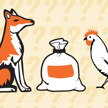 fox-chicken-corn-farmer-riddle.jpg fox-chicken-corn-farmer-riddle.jpg