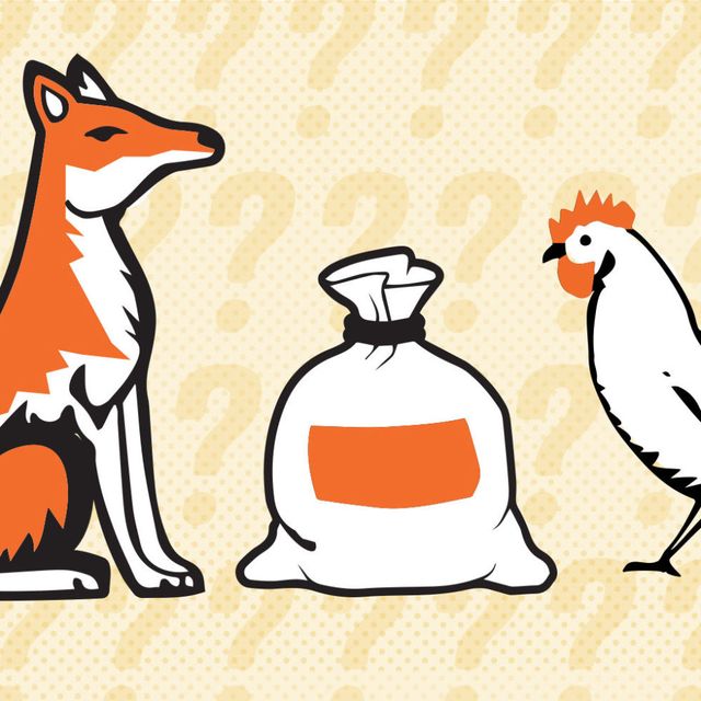 fox-chicken-corn-farmer-riddle.jpg