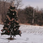 Christmas Tree Drone