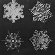What Are the Chances of Finding Two Identical Snowflakes? snowflakes