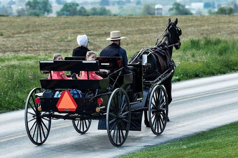 The Amish Horse-Drawn Buggy Is More Tech-Forward Than You Think