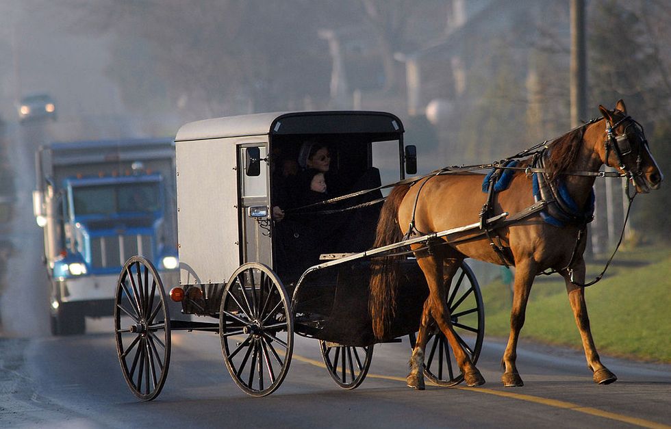 Amish buggy