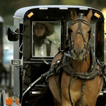 Amish buggy