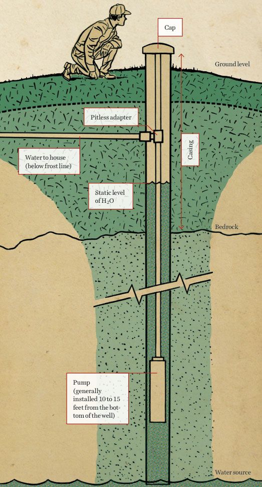 Green, Text, Line, Font, Parallel, Insect, Invertebrate, Teal, Map, Plan, 