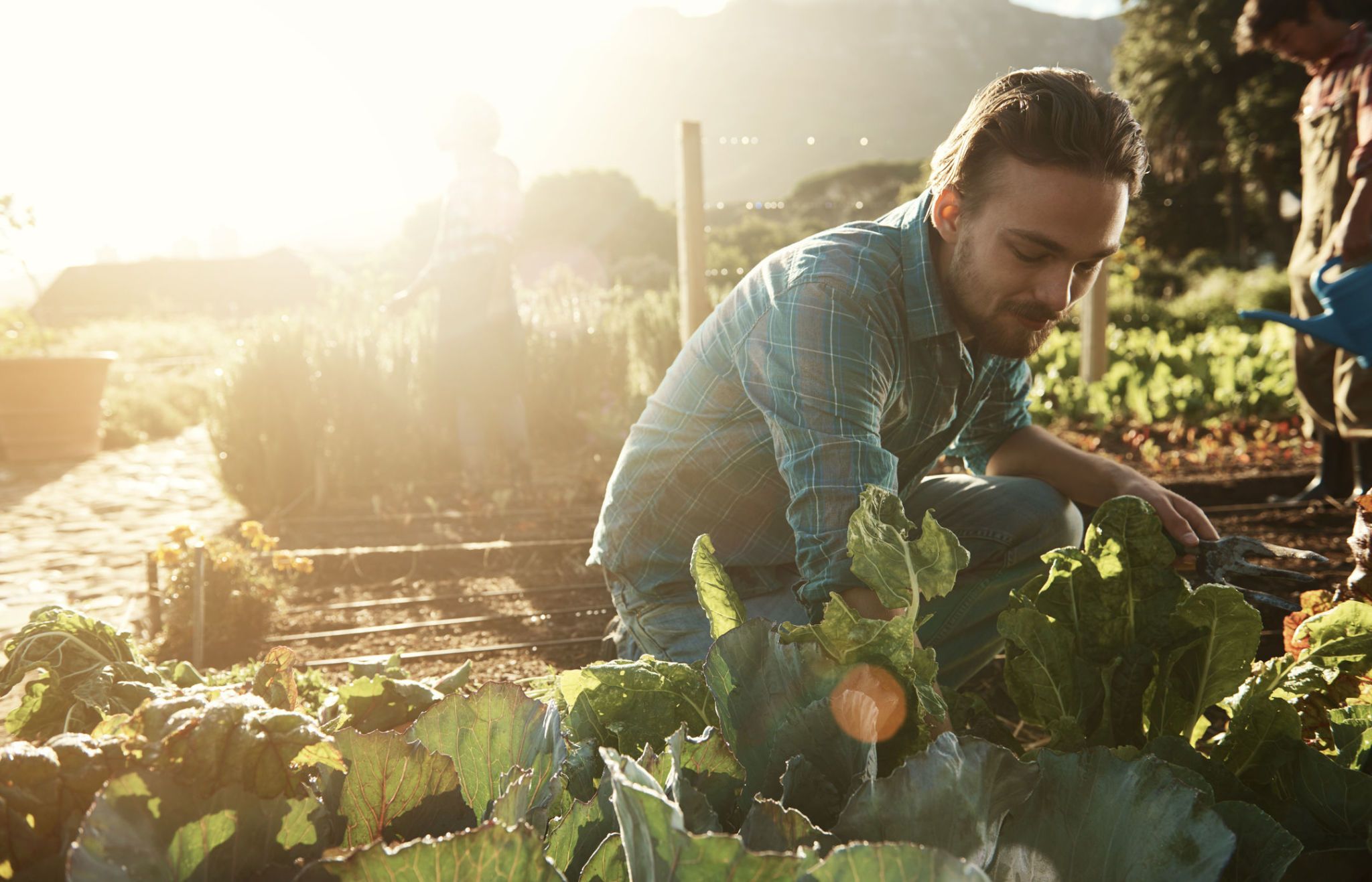 How to Build a Garden That Grows Forever