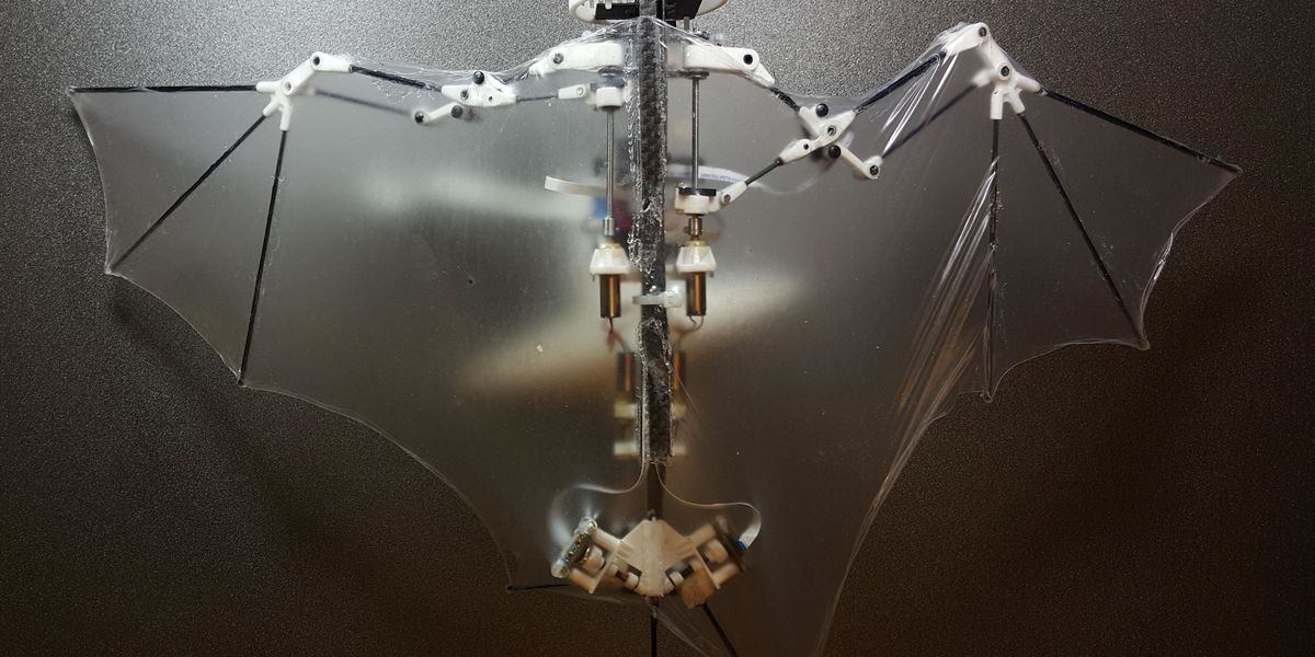 Behold Bat Bot, the First Flying Robot Bat