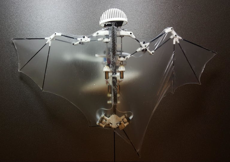 Behold Bat Bot, the Flying First Robot Bat