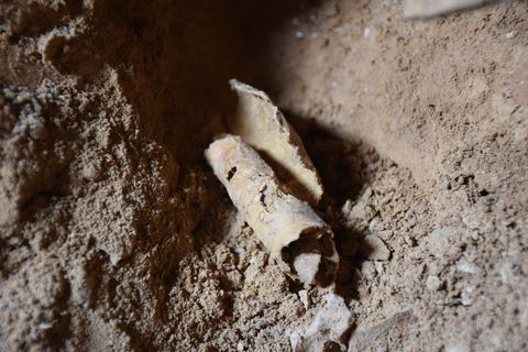 Parchment that was being processed for writing found in the cave.