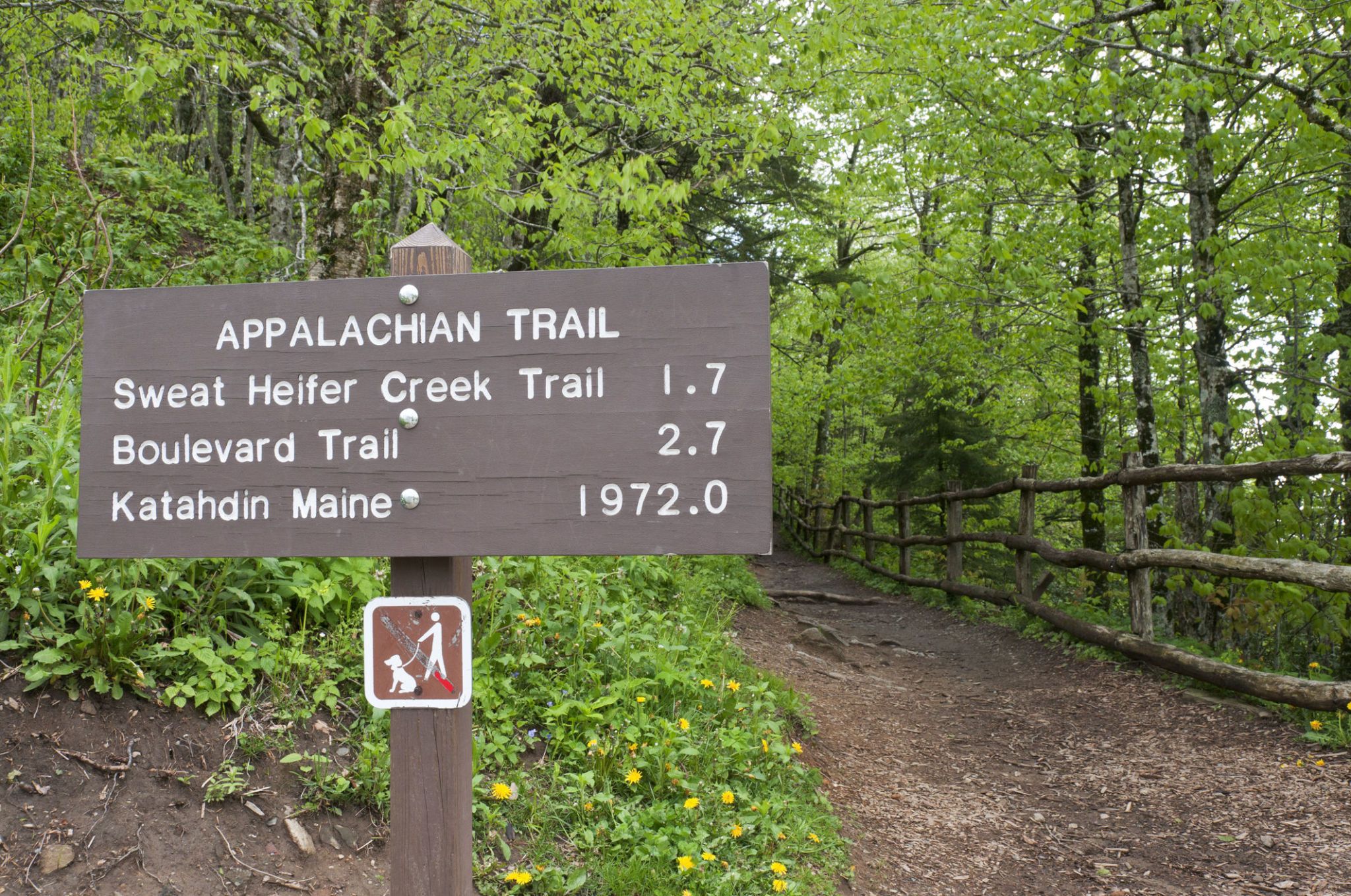Sanford disappears to hike Appalachian Trail (on Naked 