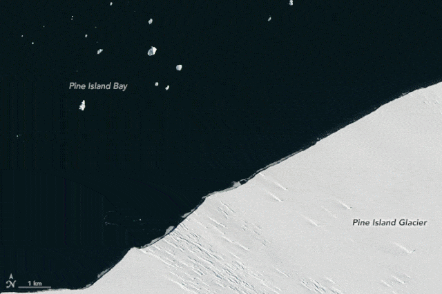Glacier Breaking Off of Antarctica
