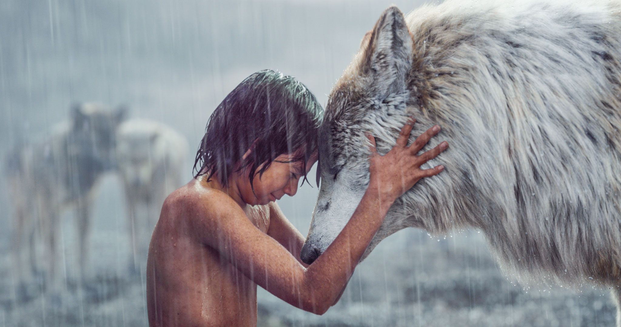 The Wonderful Visual Effects Of The Jungle Book And The Future