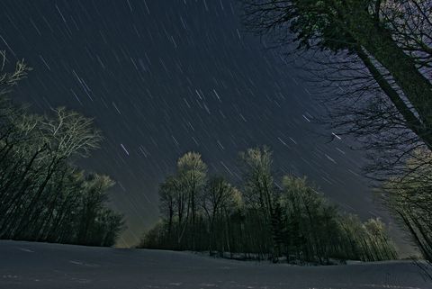 Branch, Natural environment, Green, Natural landscape, Night, Atmosphere, Winter, Space, Star, Biome, 