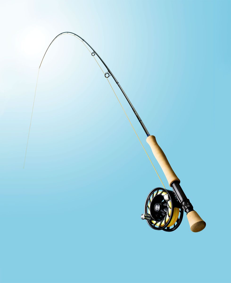 If your looking for a great rod at a great price and you want to