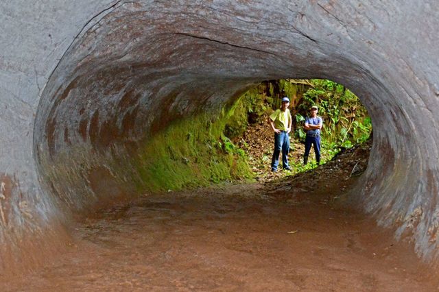 Tunnel, Infrastructure, Water, Sanitary sewer, Thoroughfare, Trail, Soil, Mud, Rock, Road, 