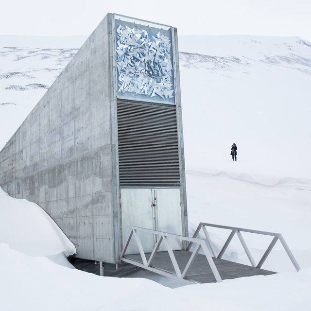 Now There's an Armageddon-Proof Library to Go With Norway's Doomsday ...