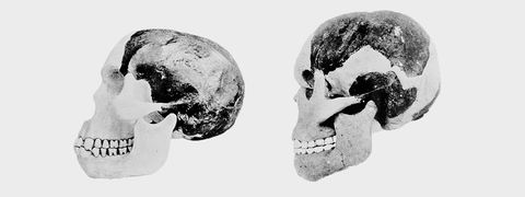 <p>Perhaps the most notorious fraud in the search for a "missing link" (which is a misnomer, by the way) was the Piltdown Man. Charles Dawson, who proclaimed the find in 1912,&nbsp;was rather, shall we say, eccentric. The non-credentialed paleontologist and anthropologist had plenty of discoveries under his belt,&nbsp;ranging from valid to fallacious to outright frauds, before Piltdown rocked the world.</p><p>There's plenty of reasons to be suspicious of any claimed "missing link," and that's especially true for a skull found in a quarry in the United Kingdom,&nbsp;far&nbsp;from the source of the great apes in Africa. Dawson proclaimed the Piltdown man fell somewhere between apes and humans.&nbsp;</p><p><span>Not so much. It turned out in the end that&nbsp;Piltdown&nbsp;was a great ape, but a 1953 investigation conducted&nbsp;long after Dawson's death revealed it to be a modern ape bleached and </span><a href="http://www.pbs.org/wgbh/aso/databank/entries/do53pi.html" data-tracking-id="recirc-text-link">artificially weathered</a><span> to look like a 500,000-year-old jawbone. Research from 2010&nbsp;suggests that&nbsp;</span><a href="http://rsos.royalsocietypublishing.org/content/3/8/160328" data-tracking-id="recirc-text-link">Dawson acted alone</a><span> in the fraud.&nbsp;</span></p>