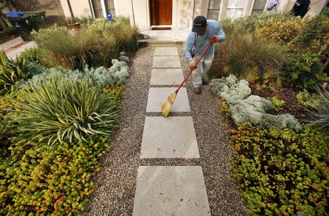 Native Landscaping