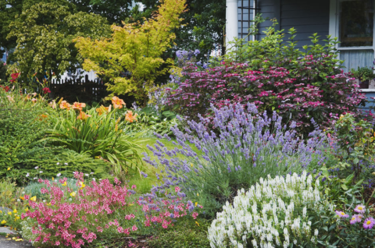 12 landscaping ideas to transform your yard in spring 2018