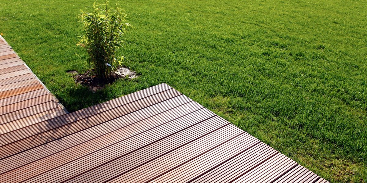 Grass, Green, Natural landscape, Lawn, Deck, Wood, Line, Grass family, Walkway, Plant, 