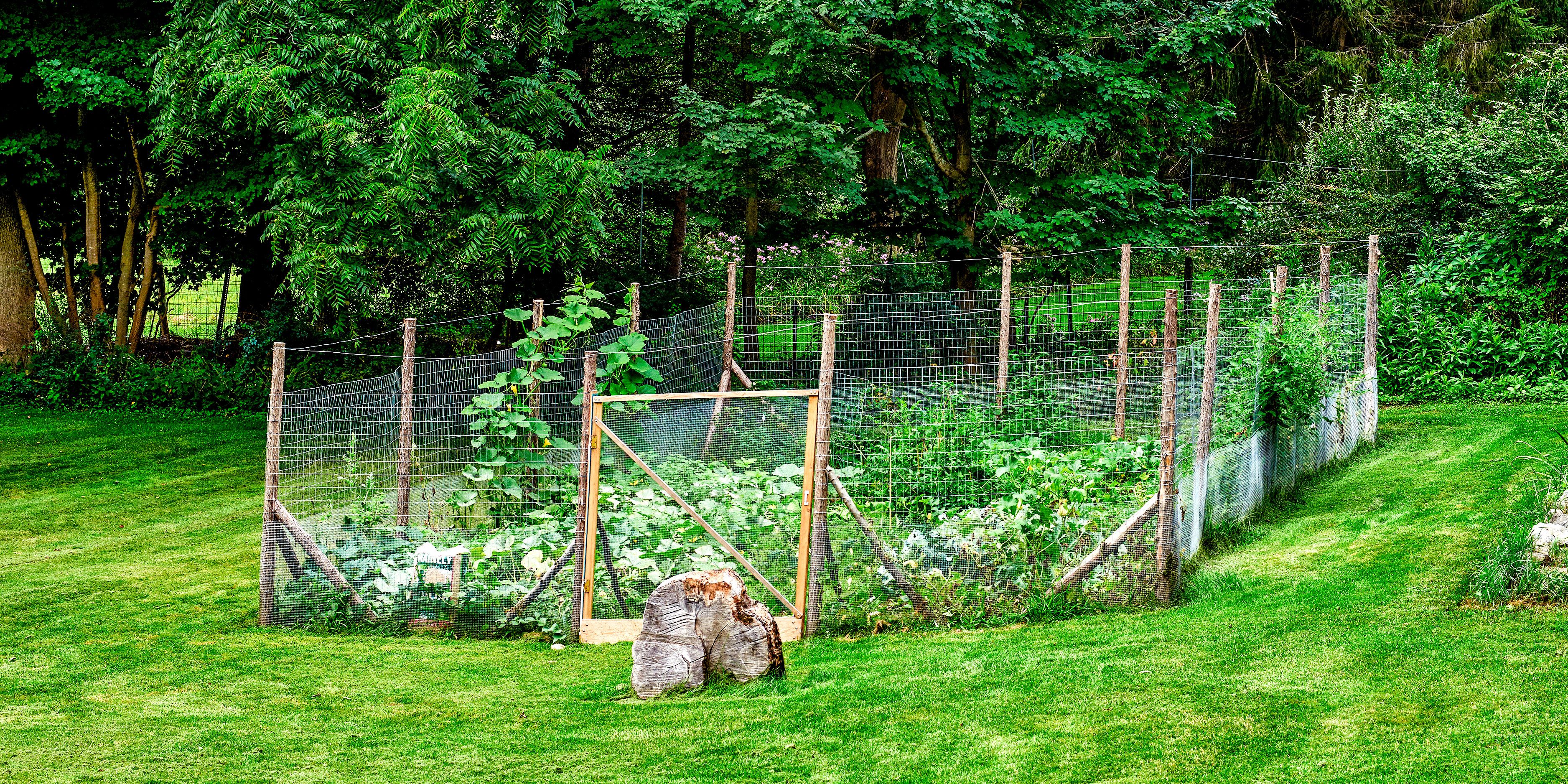 wire garden fence