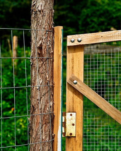 Great Garden Fence Ideas For 2018 How To Build A - How To Make Gate For Garden Fence Great Garden Fence Ideas For 2018 How To Build A - How To Make Gate For Garden Fence