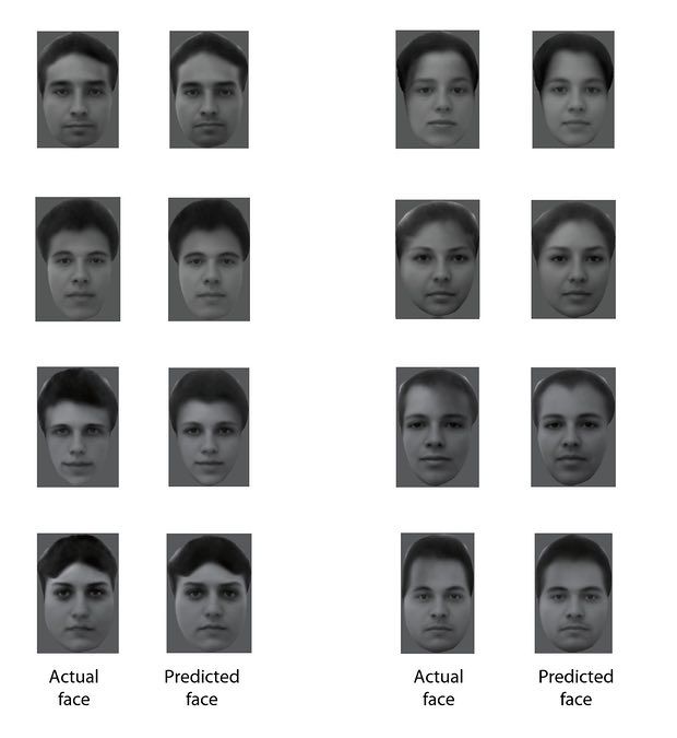 Scientists Uncover How Our Brains Recognize Faces