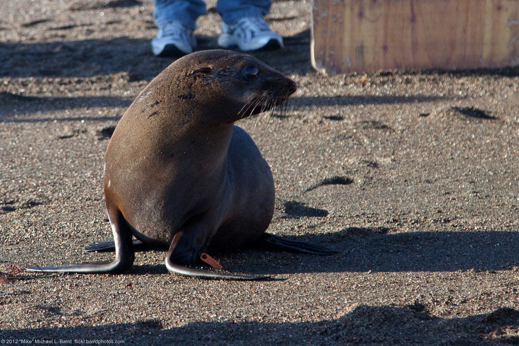 15 Animals Found Only in One Small Place 15 Animals Found Only in One Small Place