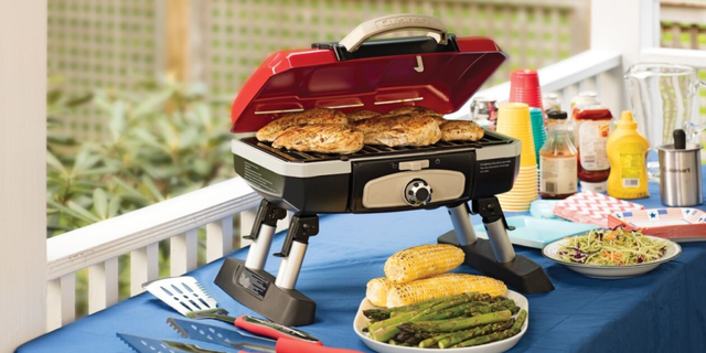 The 6 Best Small Grills The Best Micro Grills For Your Tiny Space